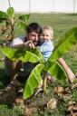 Baby Trey hides behind a baby banana tree